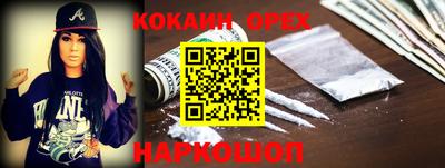 apvp Камышлов
