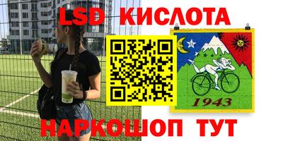 apvp Камышлов