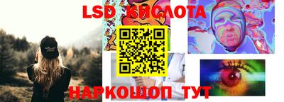 apvp Камышлов